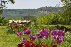 Lente tuin met tulpen bij accommodatie voor creatieve reizen