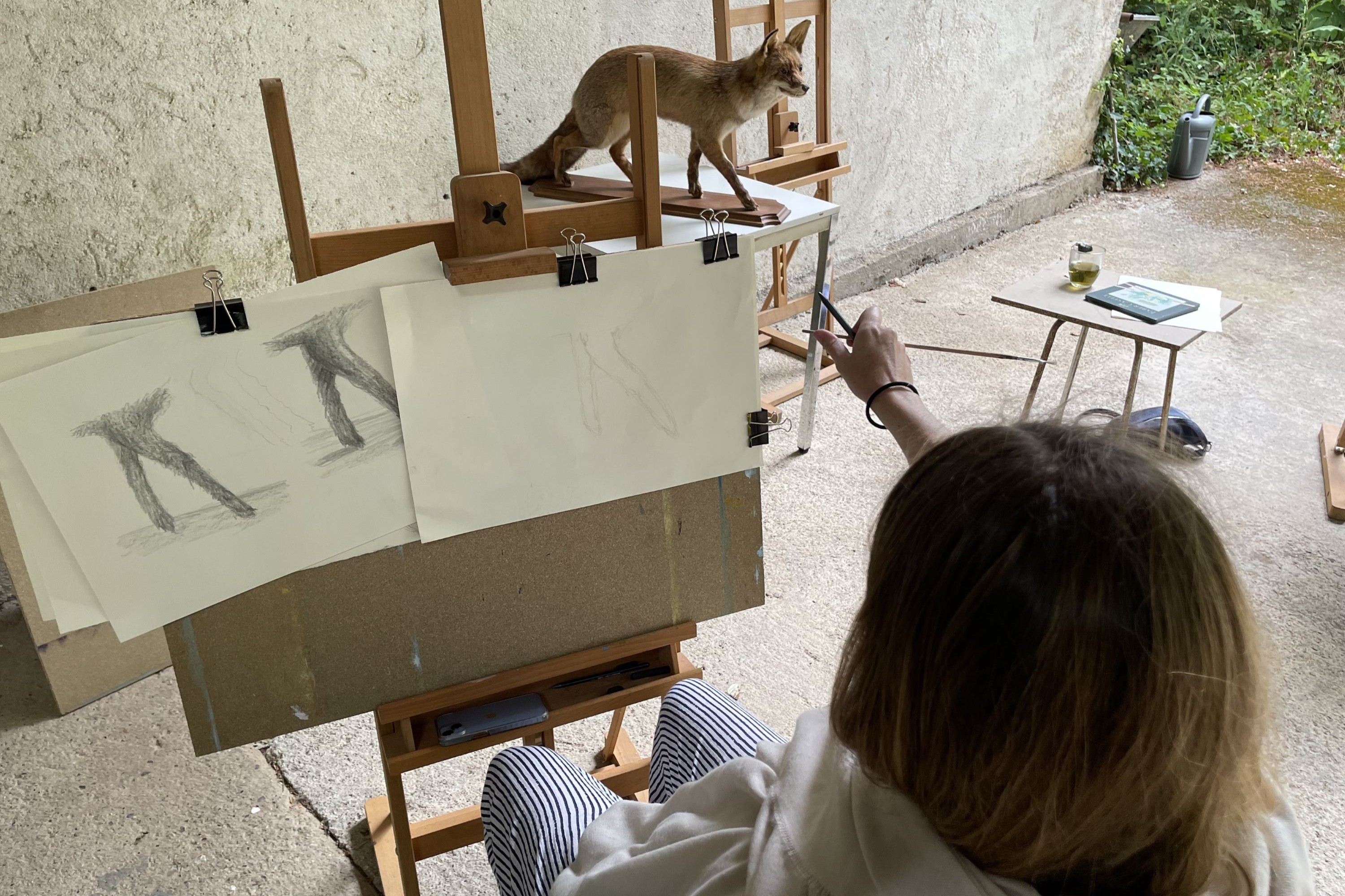 schetsen van poten van vos tijdens atelierweek in frankrijk